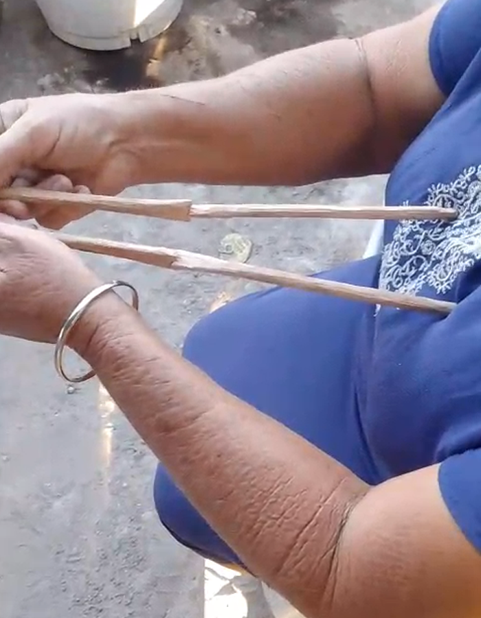 palitos buscadores